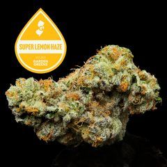 Super Lemon Haze Garden Greens