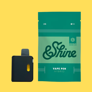 Blueberry Haze - Disposable &Shine