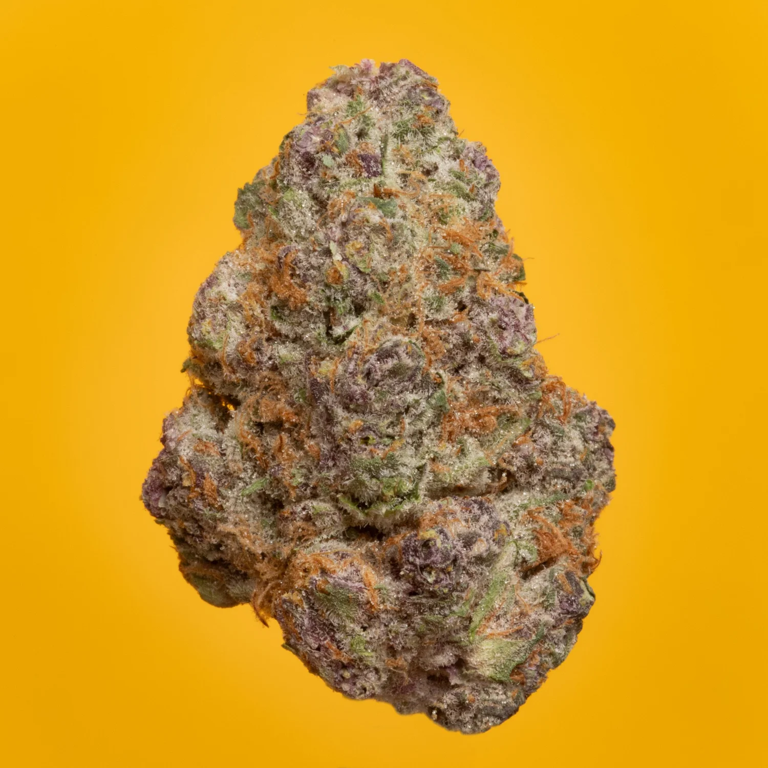 Super Boof Authorized Dealers Super Boof Authorized Dealers
