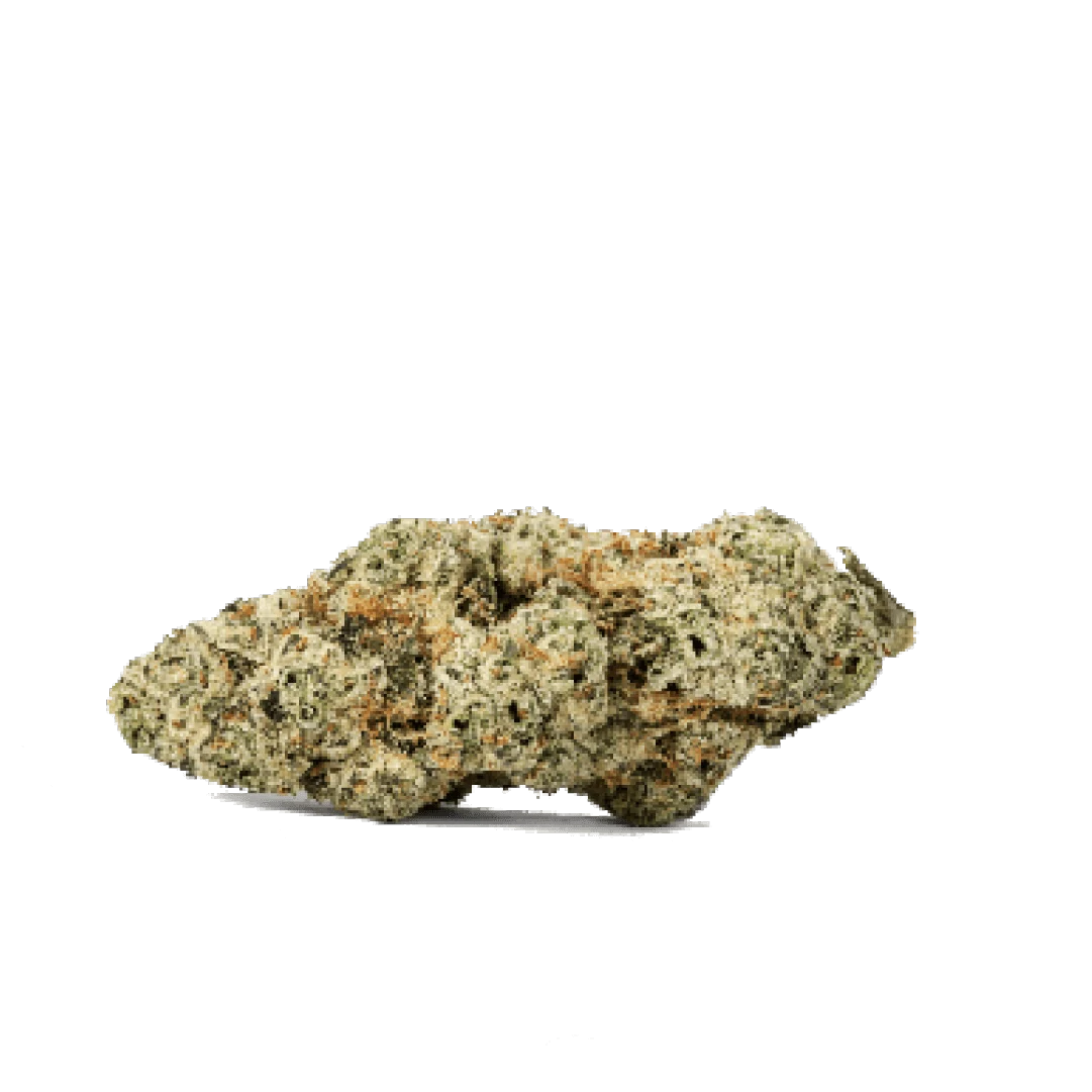 Mule Fuel Authorized Dealers Mule Fuel Authorized Dealers