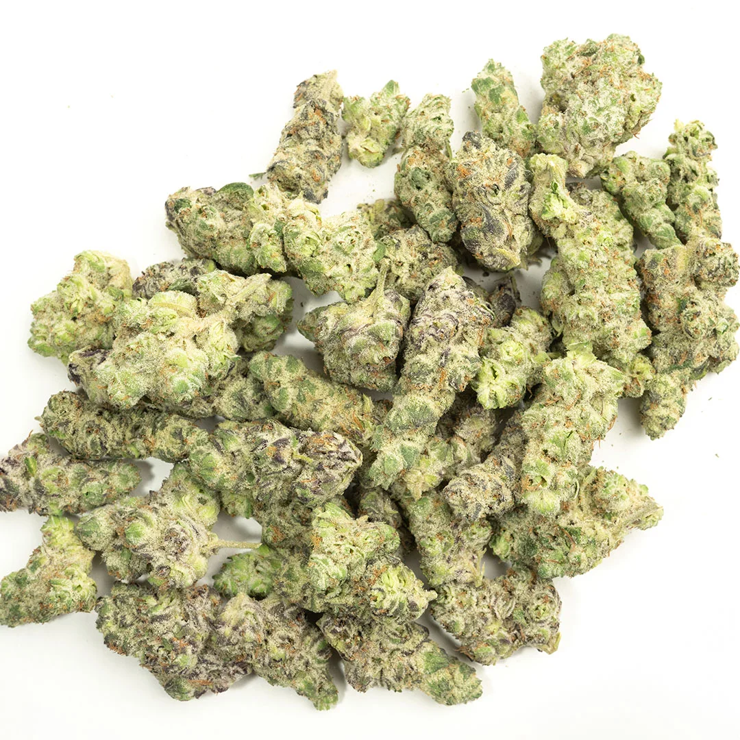 Mule Fuel Authorized Dealers Mule Fuel Authorized Dealers