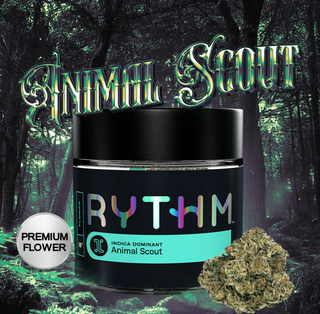 Animal Scout Rythm