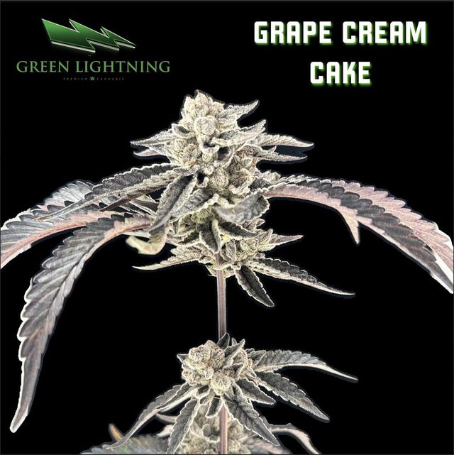 Grape Cream Cake Green Lightning