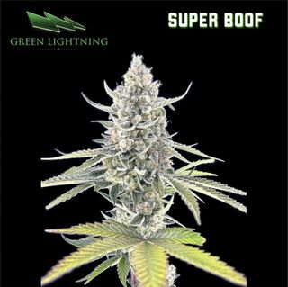 Super Boof  Green Lightning