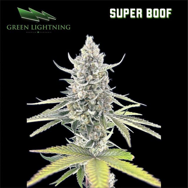 Super Boof  Green Lightning