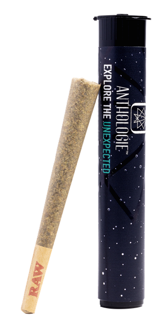 Local Skunk Anthologie