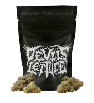 Pineapple Express Flower Devil's Lettuce