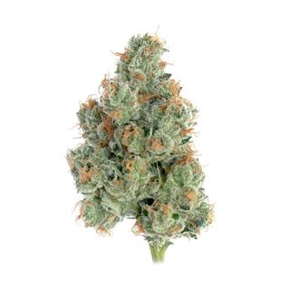 Sugar Shack #5 Flower Happy Valley