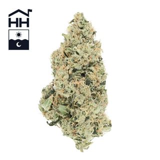 Aspen OG Harbor House