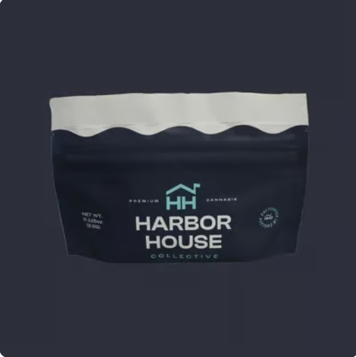 Astronaut Status #24 Harbor House