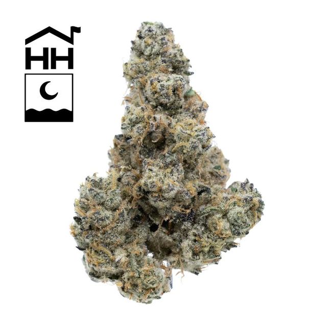 GMO Harbor House