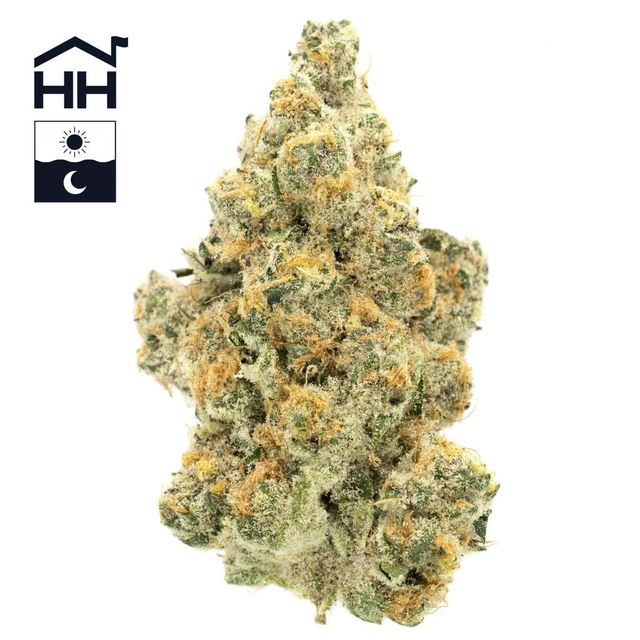 Super Boof Harbor House