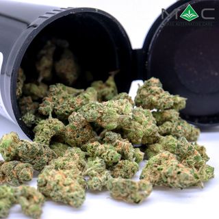 LA Beatnik Small Nugs MAC