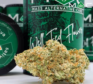 Sweet Tree MAC
