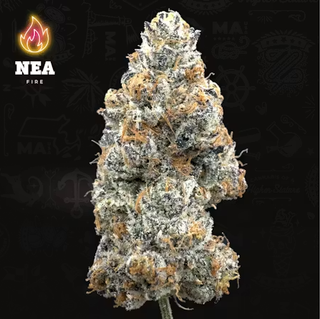 Gelato Ice Cream Indica NEA Fire Northeast Alternatives