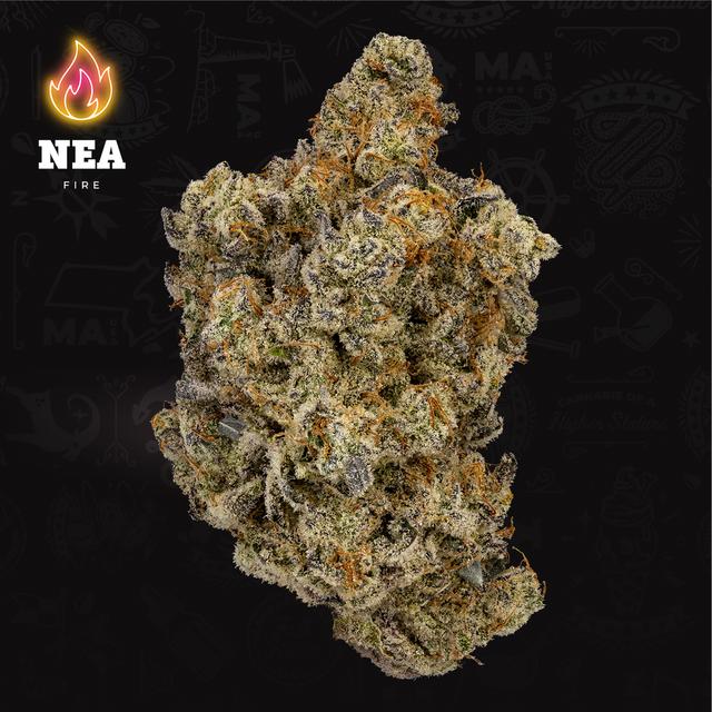 MAC V2 Hybrid NEA Fire Northeast Alternatives