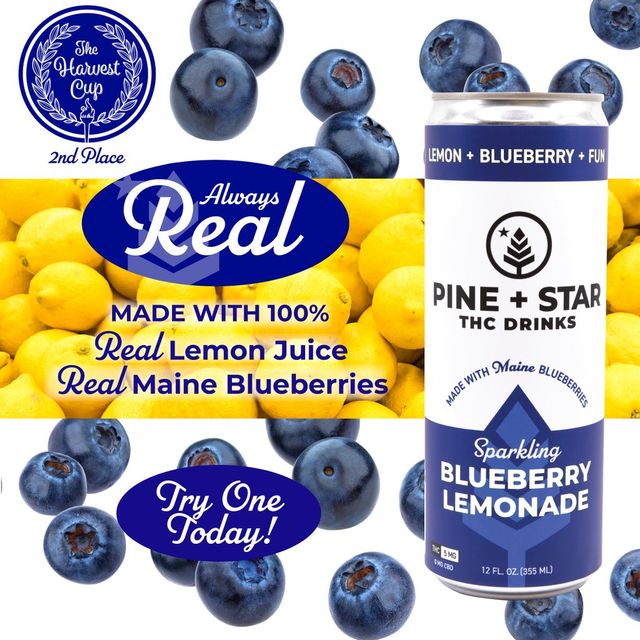 Blueberry Lemonade Pine + Star