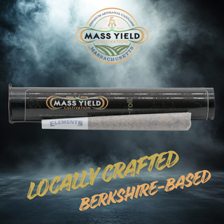Gas Face PRJ Mass Yield