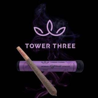 Blooperz Tower Three
