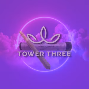 Zsunami Tower Three