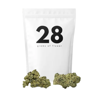 Super Boof 28