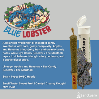 Blue Lobster Sanctuary Blue Lobster Sanctuary