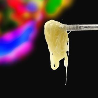 Papaya + Banana Punch #4 -  710 LABS