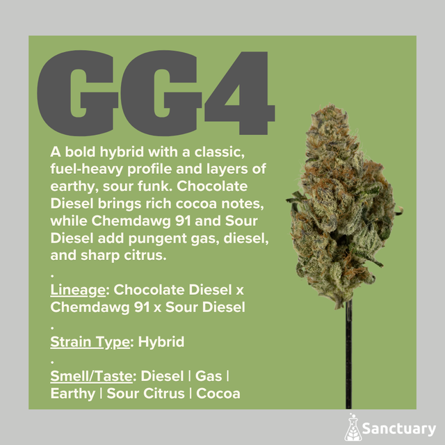 GG4 Sanctuary