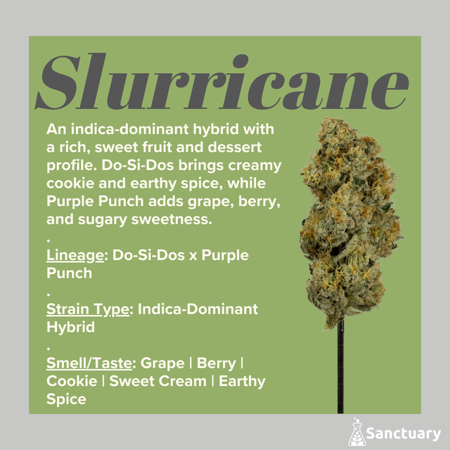 Slurricane Sanctuary