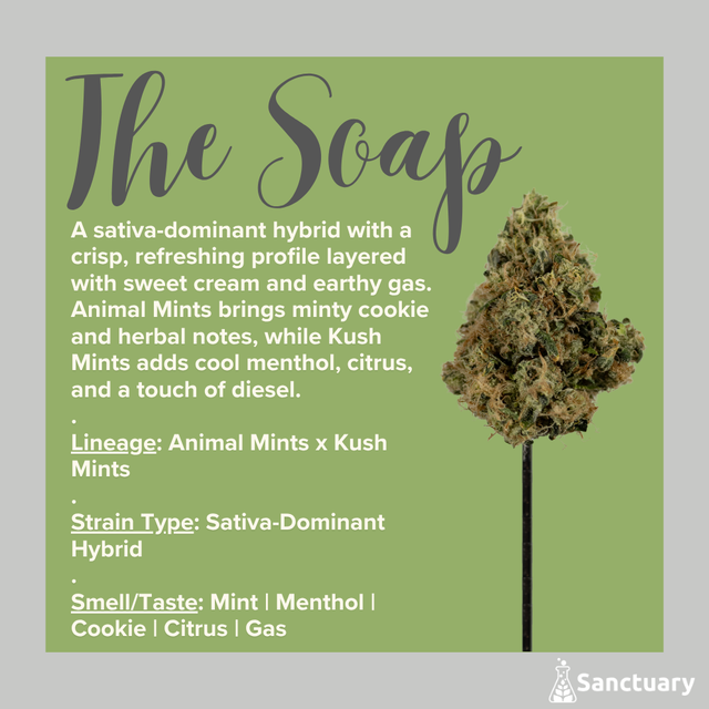 The Soap Sanctuary