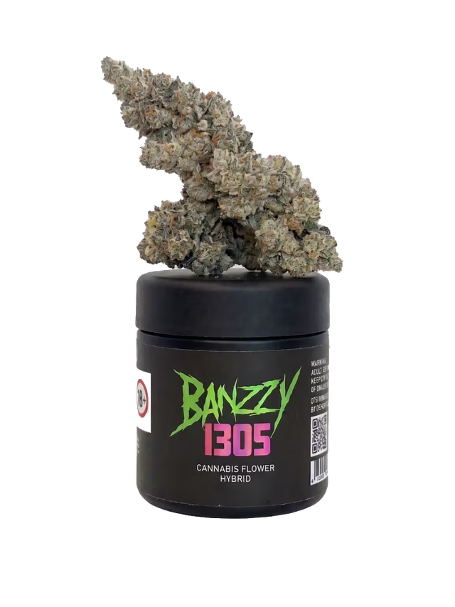 Ivory 1305 Banzzy 1305 Ivory 1305 Banzzy 1305