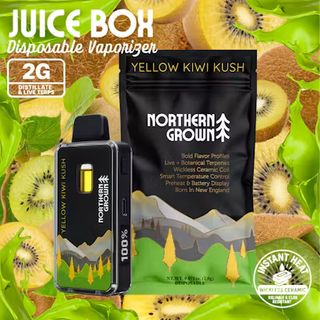 Yellow Kiwi Kush Juice Box 2G Disposable Northern Grown