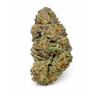 Durbana SP Farms