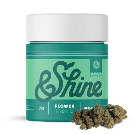 Flavorbow &Shine Flavorbow &Shine