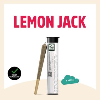 Lemon Jack Springtime Lemon Jack Springtime