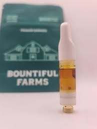 Rainbow Guava + Guava Now N Later Live Hash Rosin Bountiful Farms