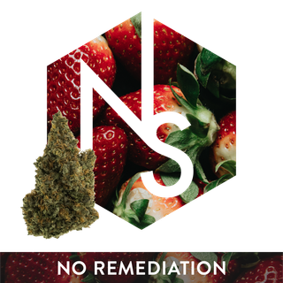 Strawberry Chocolate Natural Selections