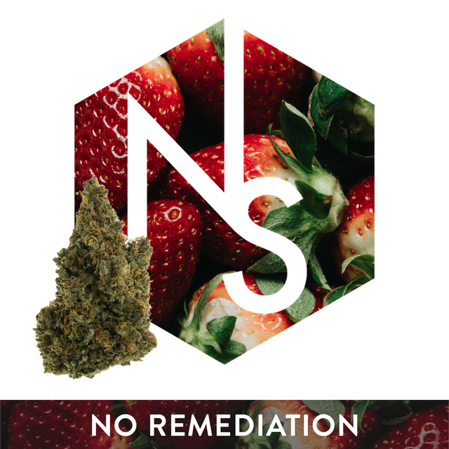 Strawberry Chocolate Natural Selections