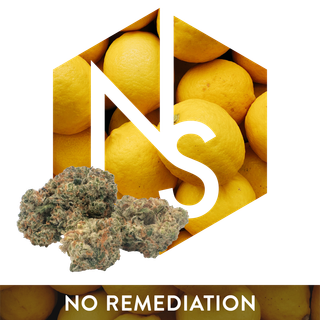 Super Lemon Haze #6 Natural Selections