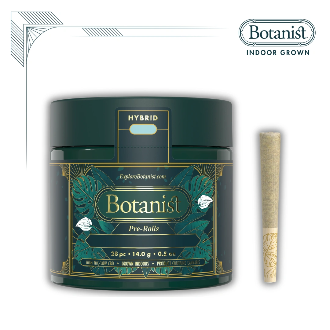 Rainbow Belts 2.0 | Botanist Rainbow Belts 2.0 | Botanist