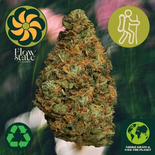 Sour Haze Flow State Sour Haze Flow State