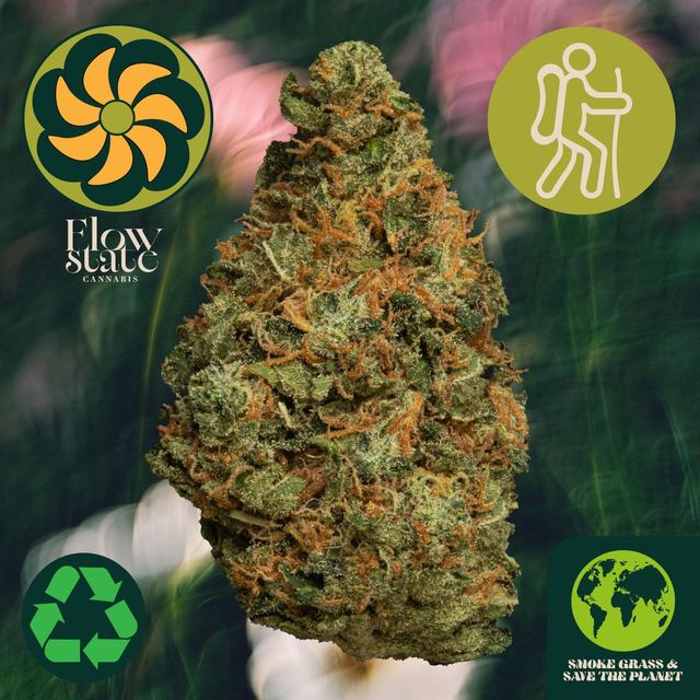 Sour Haze Flow State