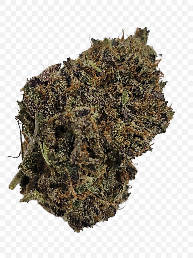 I Eagle Scoops I Mother Brands I Eagle Scoops I Mother Brands