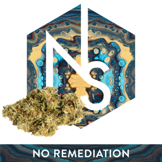 Category 5 Natural Selections