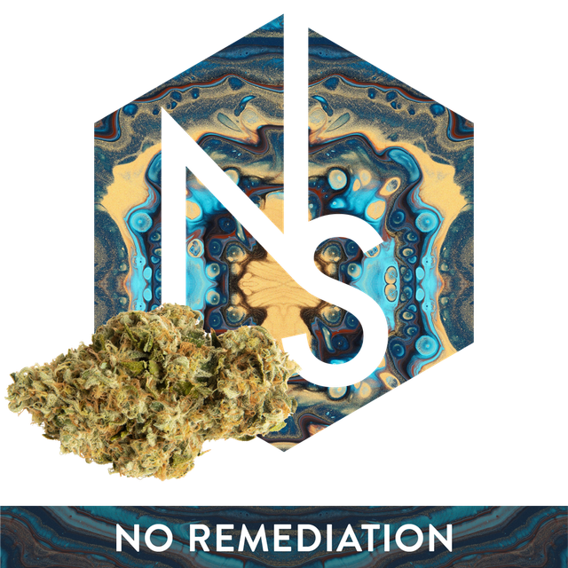 Category 5 Natural Selections