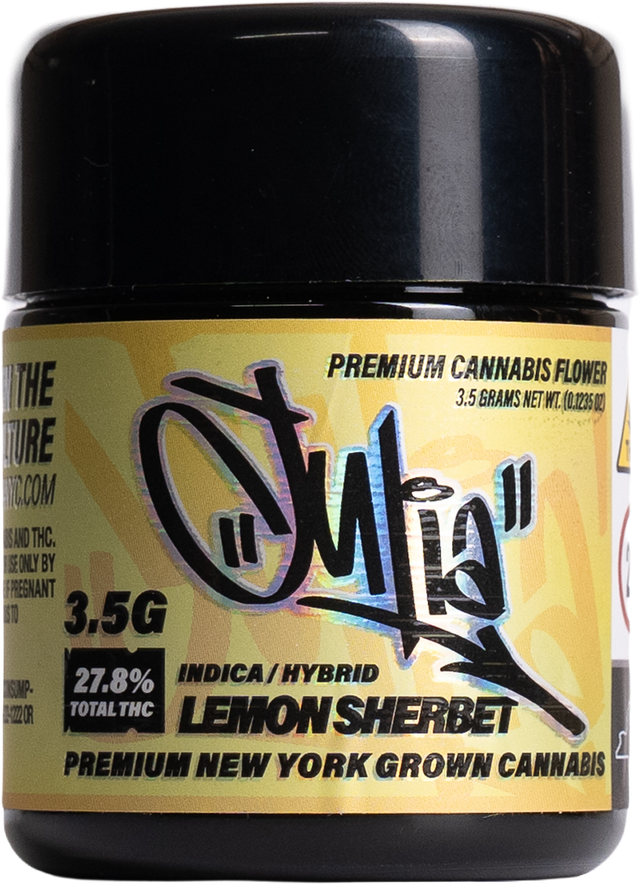 Lemon Sherbert Julia