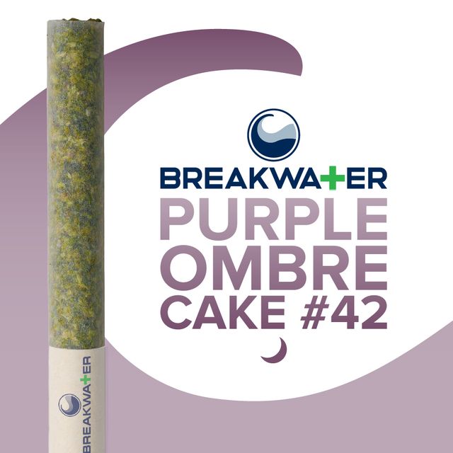 Purple Ombre Cake Breakwater