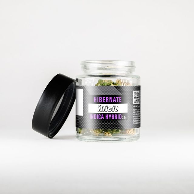 Hibernate Illicit