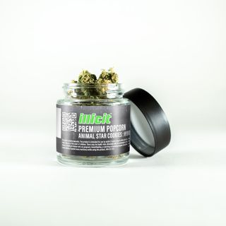 Animal Star Cookies Premium Illicit