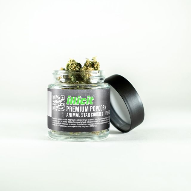 Animal Star Cookies Premium Illicit
